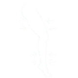 Bienestar botánico